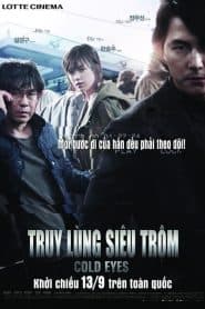 Truy Lùng Siêu Trộm (2013) | Cold Eyes (2013)