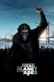 Sự Nổi Dậy Của Bầy Khỉ (2011) | Rise of the Planet of the Apes (2011)