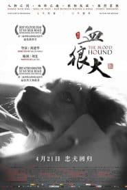 Chú Chó Anh Dũng (2016) | The Blood Hound (2016)