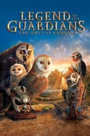 Hộ Vệ Xứ Ga’Hoole (2010) | Legend of the Guardians: The Owls of Ga’Hoole (2010)