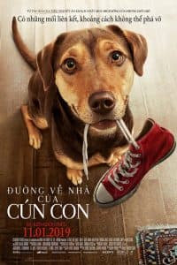 Đường Về Nhà Của Cún Con (2019) | A Dog’s Way Home (2019)