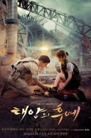 Hậu Duệ Mặt Trời (2016) | Descendants of the Sun (2016)