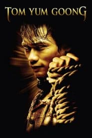 Người Bảo Vệ (2005) | The Protector (2005)