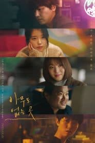 Sắc Thái Của Trái Tim (2021) | Shades of the Heart (2021)