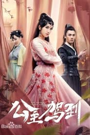 Công Chúa Tinh Nghịch (2019) | The Princess Comes Across (2019)