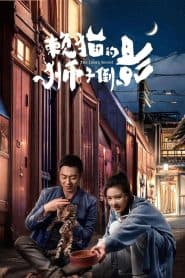 Cái Bóng Sư Tử Của Mèo Lười (2021) | The Lion’s Secret (2021)