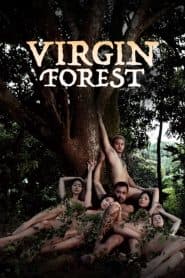 Rừng Trinh Nữ (2022) | Virgin Forest (2022)